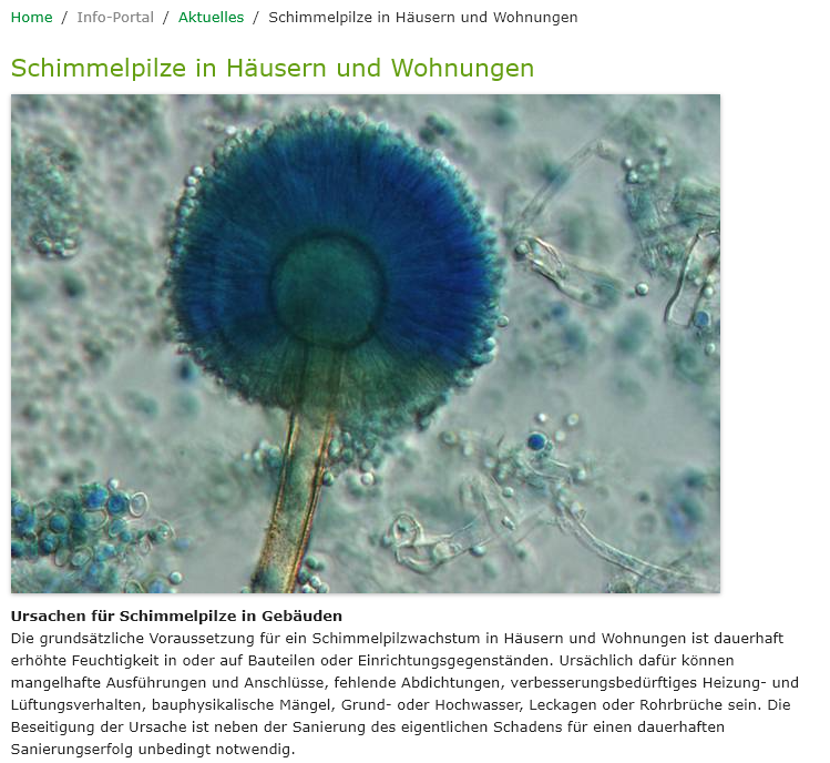 Blog Berichtsdetailansicht Blog Berichtsdetailansicht