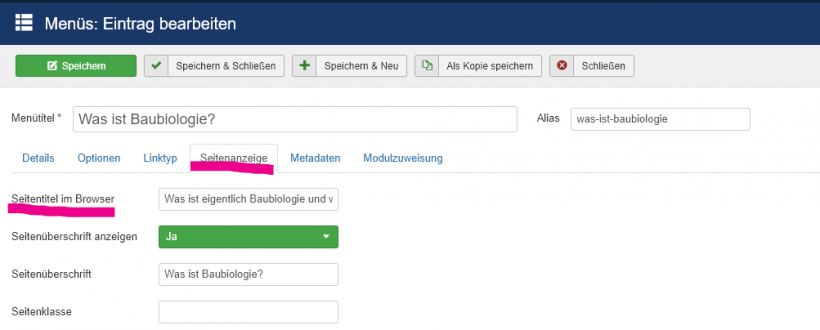 Seitentitel im Browser Seitentitel im Browser